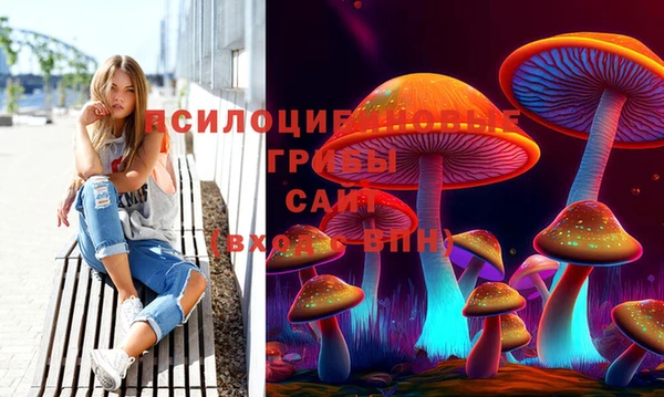 гидропоника Алзамай
