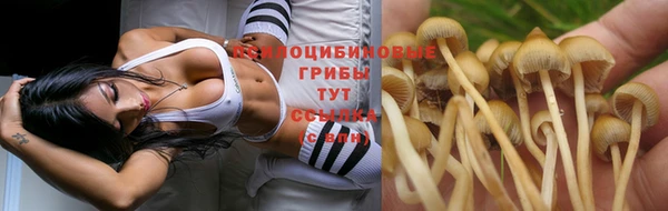 скорость Новодвинск