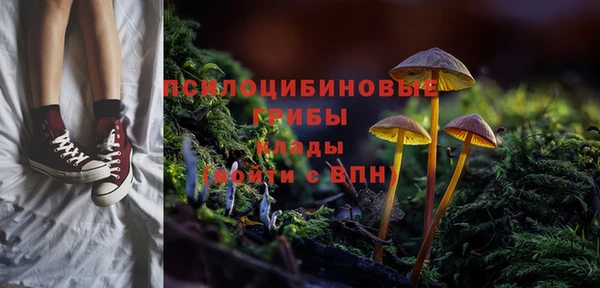 бутират Алексин