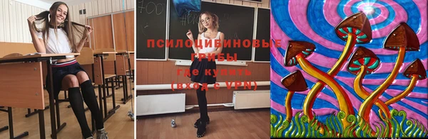стафф Алексеевка